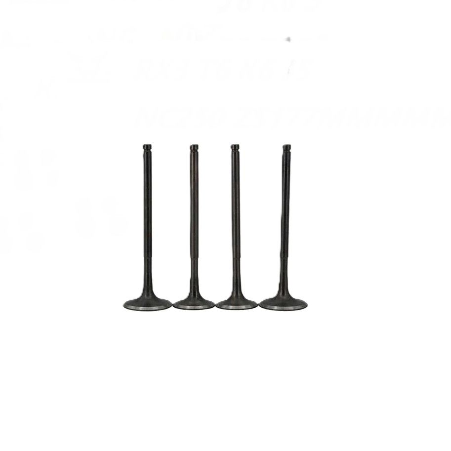 Впускной клапан двигателя ZS170MM-2 оригинал Zongshen