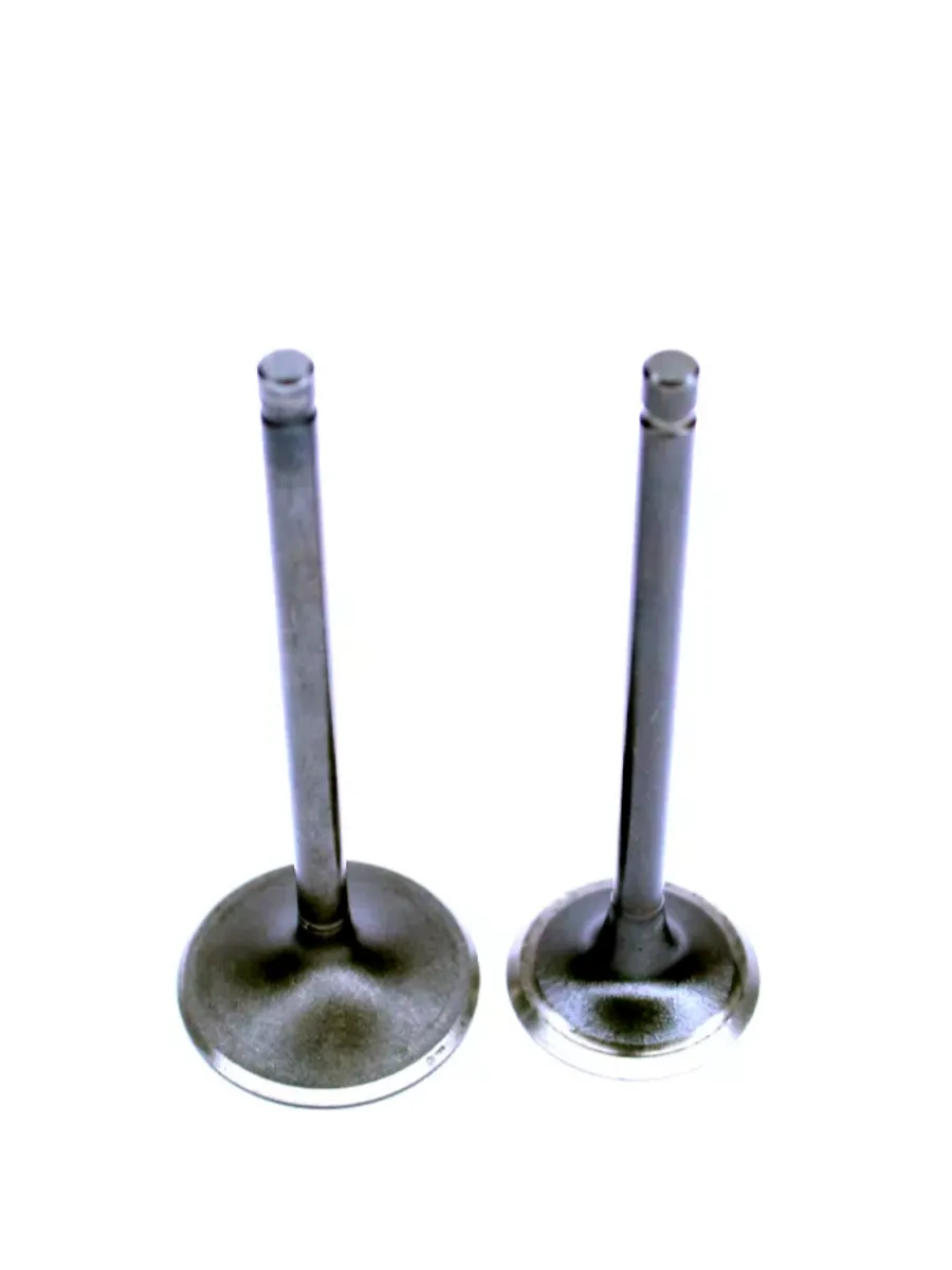 Клапан впускной двигателя ZS174mn-3, ZS177mn, zs170mm-2